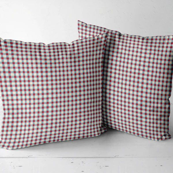 Two red and blue gingham throw pillows side by side